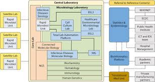 Laboratory animals also are used to study the safety and efficacy of the new drug. Consolidation Of Clinical Microbiology Laboratories And Introduction Of Transformative Technologies Clinical Microbiology Reviews