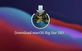 Help i have a pro membership and still can't download pfd files. Download Macos Big Sur Iso File For Vmware Virtualbox