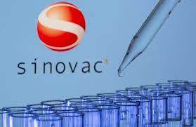 21 hours ago · kuala lumpur: Malaysia Says China To Contribute 500 000 Doses Of Sinovac Vaccines Reuters