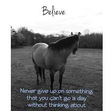 Believe Never Give Up On Something You Can T Go A Day Without Thinking About Horse Quotes Animal Reiki Equestrian Quotes