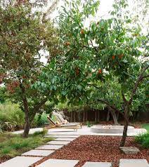 22 Tree Shade Landscaping Ideas For Your Yards Home Design Lover Shade Landscaping Backyard Landscaping Fruit Trees Backyard