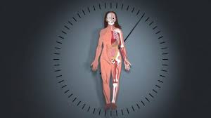 Valori puls normal (frecvență cardiacă în repaus) la copii în general, frecvența cardiacă a copiilor este mai mare decât în cazul valorilor înregistrate la adulți. Ce Este Pulsul Si Care Sunt Valorile Lui Normale Medical Tv