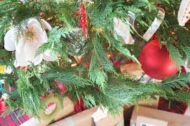 The green of the leaf has slight moisture and is nitrogen rich while the brown velvety underside is dry and carbon rich. How To Decorate A Southern Style Christmas Tree With Magnolia Blossoms Craftivity Designs