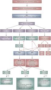 Image result for Ataxia