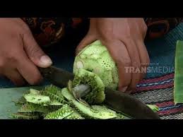 1 biji buah nangka, biji kluwih; Jangan Kluwih Yang Ngangenin Ragam Indonesia Youtube
