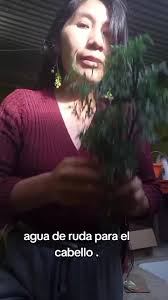 Como Hacer El Agua De Ruda