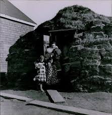 LG834 Original Photo SOD ICE HOUSE ...