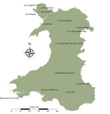 Llandyn holiday park, llangollen, denbighshire, ll20 7uh. Map Of Wales Showing The Location Of The 2017 Survey Lakes Download Scientific Diagram