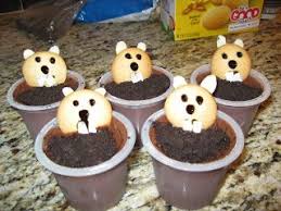 Week 18 Ocean Floor Project Groundhog Day Groundhog Day Happy Groundhog Day Groundhog