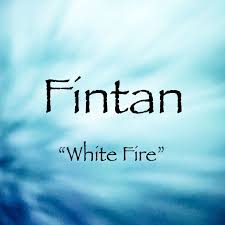 Character Name Collections For Name Nerdy Writers Fintan Character Names And Meanings Character Inspiration In 2020 Irish Names Fantasy Names Names With Meaning