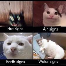 Amusing Astrology Memes For Believers And Nonbelievers Alike Zodiac Elements Zodiac Signs Funny Zodiac Signs Elements