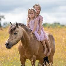 Dee Richardson (@richardson_ponies) • Threads, Say more