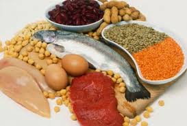 Check spelling or type a new query. Kebutuhan Protein Bagi Makhluk Hidup Porosilmu Com