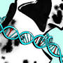 Profile Picture of A Biohacker's Plan to Upgrade Dalmatians Ends Up in the Doghouse (@technologyreview.com) on Google