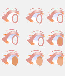 Profitez de millions d'applications android récentes, de jeux, de titres musicaux, de films, de séries, de livres, de magazines, et plus encore. Tutorial Of Sorts How I Draw Anime Eyes Part 3 By Kageroufrontier On Deviantart