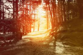Image result for fall scenic views