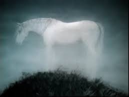 ежик в тумане смотреть онлайн в хорошем качестве бесплатно Ezhik V Tumane Smotret Onlajn Besplatno Sovetskij Multik Ezhik V Tumane Smotret Onlajn V Horoshem Kachestve