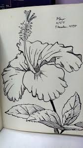 Semua gambar gratis bahkan untuk penggunaan komersial. Kn On Twitter Day 5 Flower Bunga Raya Bunga Kebangsaan Klsketchnation Ramadhansketchchallenge2018
