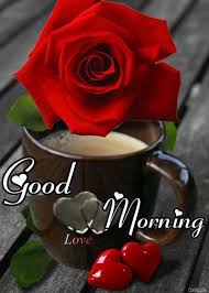 35+ Good Morning Red Rose Images - Desi Comments