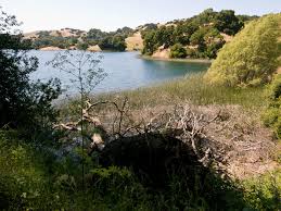 One mile to the john muir national historic site. Hiking Briones Reservoir A 14 Mile Circumnavigation Joe Reifer