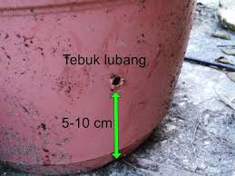 Apa yang kita boleh buat adalah beli sahaja beberapa keratan pudina di pasaraya. Ketua Kampung Elect On Twitter Cara Tanam Daun Kesum Ni Kau Kerat Batang Daun Kesum Yang Kau Beli Kat Pasar Tu Lepas Tu Kau Rendam Dalam Air Macam Gambar Ni Letak Dekat Dengan