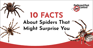 Call us for professional spider pest control services today! 10 Fun Facts About Spiders Preferred Pest Control