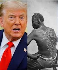 Trump administration removes historical exhibits from national parks