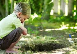 How many pets do you have buried in your backyard? Burying Your Dog At Home Pet Home Burial D For Dog