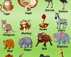 Some exotic pet names for animals like monkeys include macchiato, madagasca and mango. 10 Wild Animals Name Wild Animals In English English Grammar Here