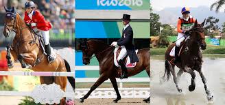 Whether you're looking to follow one specific event or watch equestrian with a olympics 2020 live. Equestrian Tokyo 2020 Olympic Tokyo 2020 Schedule Tokyo 2020 Medal Tally