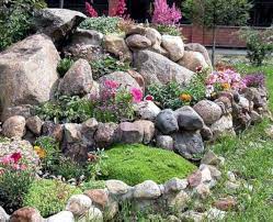 Gardeners find a unique and enjoyable challenge in exp. 6 Pro Tips For Designing Beautiful Rock Gardens Rock Garden Design Landscaping With Rocks Rockery Garden