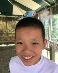 D. W. Daniel High School Bands (@dwdanielbands) • Instagram photos and  videos