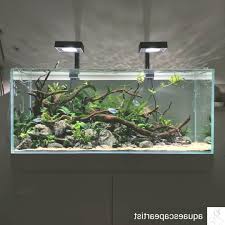 Aquascaping Panosundaki Pin