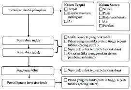 We did not find results for: Sistem Produksi Pembenihan Ikan Hias