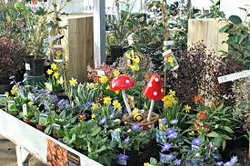 Since 2008, the centre has prided itself on providing excellent levels of service, horticultural expertise. Trowbridge Garden Centre
