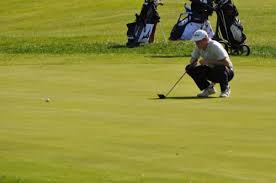 Birdies Galore at Twin Lakes