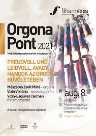 A hangszerek királynőjét igyekszik megismertetni és megszerettetni minden érdeklődővel az orgonák éjszakája. Rat1eweknhkalm