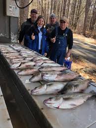 Lake cumberland striper fishing report. Clarks Hill Lake Fishing Guides Fishmasters Com