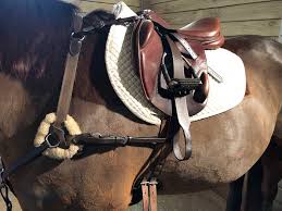 Highlights of my video review: Tph Review Total Saddle Fit Stability Leathers The Plaid Horse Magazine