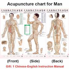 Free Shipping Color Body Acupuncture Points Chart Meridian