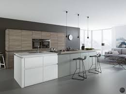 Modern black white and grey kitchen. Black White Wood Kitchens Ideas Inspiration Gray And White Kitchen White Kitchen Remodeling Grey Kitchen Designs