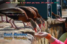 Listen to wise counsel and receive instruction and wisdom today. Good Morning Thursday Quotes And Wishes Good Morning Fun