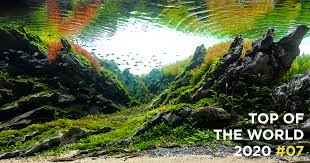 Includes showcase of fellow aquascapers' works on iwagumi, natural style, dutch style, natural biotope and hardscape diorama. Top Of The World 2020 07 Luis Carlos Galarraga Ada