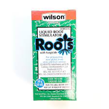 Reapply new root stimulator solution once every two weeks for the first six months after transplanting. Liquid Root Stimulator 50ml Dutch Growers Saskatoon