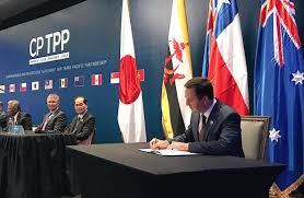 It doesn't lessen our export dependence on our southern neighbour, but it does offer growth at the margins. Latest Tpp A Parade Of Corporate Favours Masquerading As Free Trade Bilaterals Org