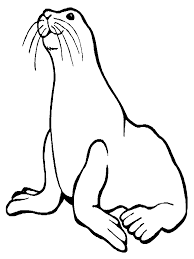 Colorear Animales Marinos Foca Lion Coloring Pages Ocean Coloring Pages Lion Coloring Page