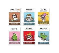 Shady pets is a highly strategic card game that requires you to play in a most shady way as you str. Shady Pets Card Game Family Friendly Party Games Card Games For Adults Teens Kids Pricepulse