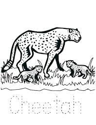 Printable cute baby cheetah coloring page. Collection Of Cheetah Coloring Pages Ideas Free Coloring Sheets Zoo Animal Coloring Pages Baby Cheetahs Animal Coloring Pages
