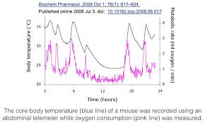 Check The Body Temperature Wilsons Syndrome