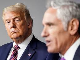 US Presidential Election & Covid-19 updates: news summary for 1 December